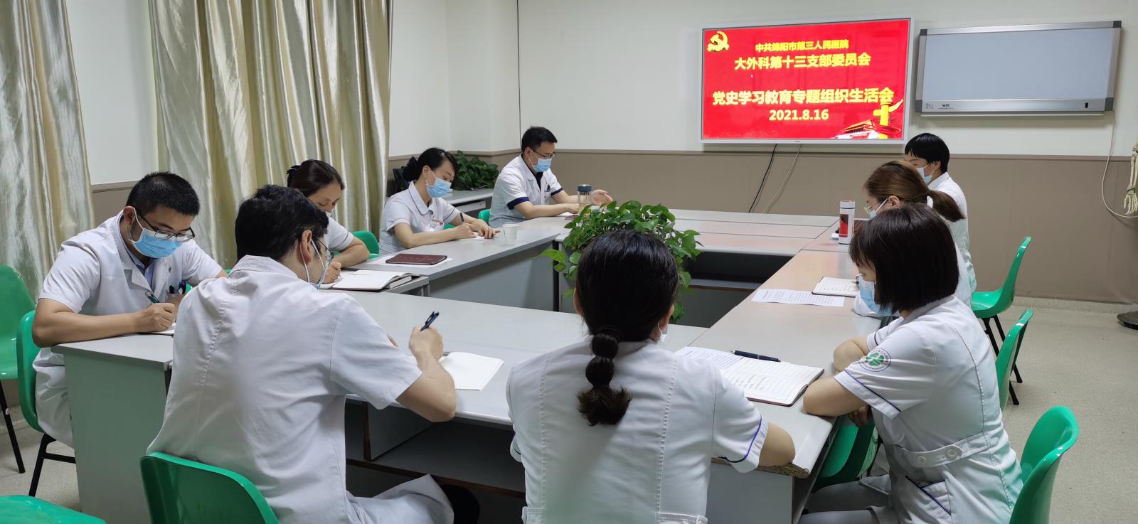 大外科第十三党支部召开党史学习教育专题组织生活会