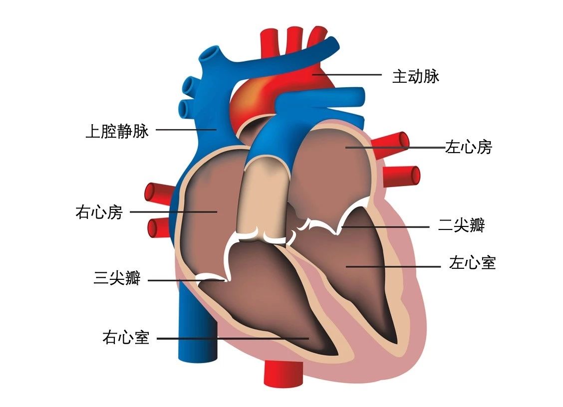 微信图片_20210912152312.jpg