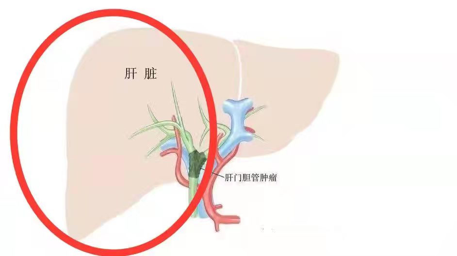 微信图片_20211111103539.jpg