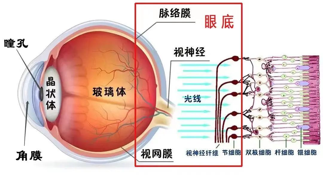 妈妈：还以为你耍了几个朋友一天到晚抱到手机看