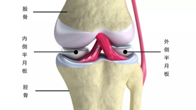 游仙分院：骨伤科：膝关节镜下手术治疗盘状半月板损伤