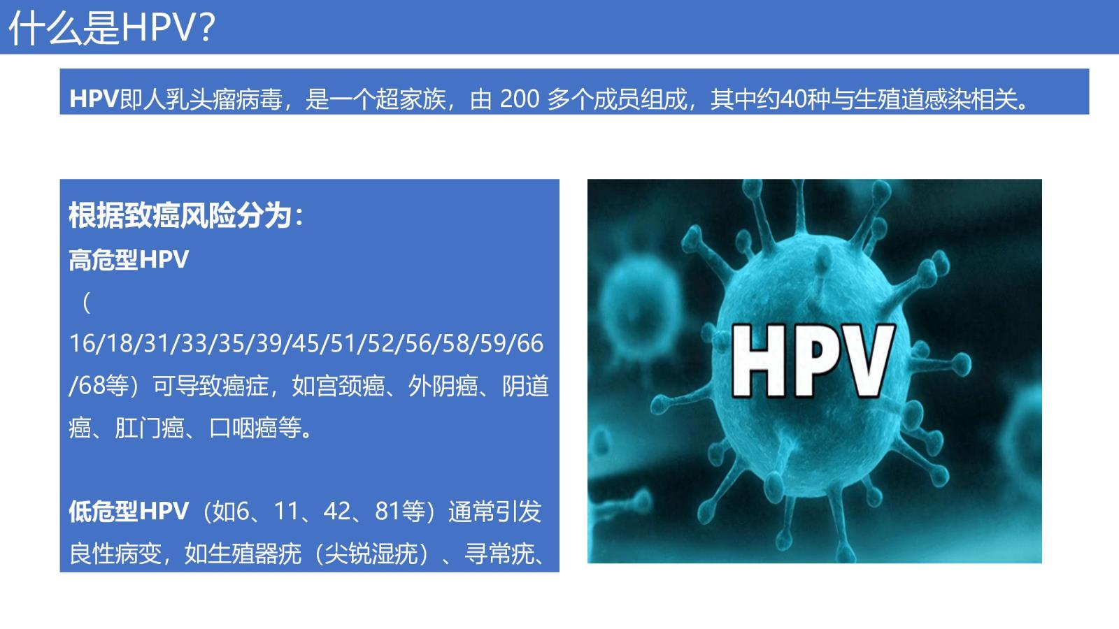 HPV科普_02.jpg
