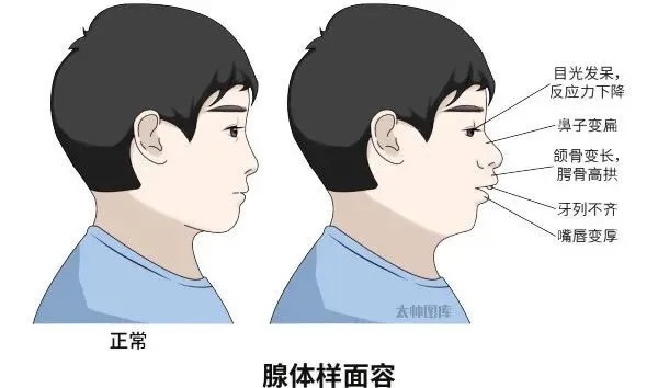 20250624_220239.jpeg 20250624_220239.jpeg