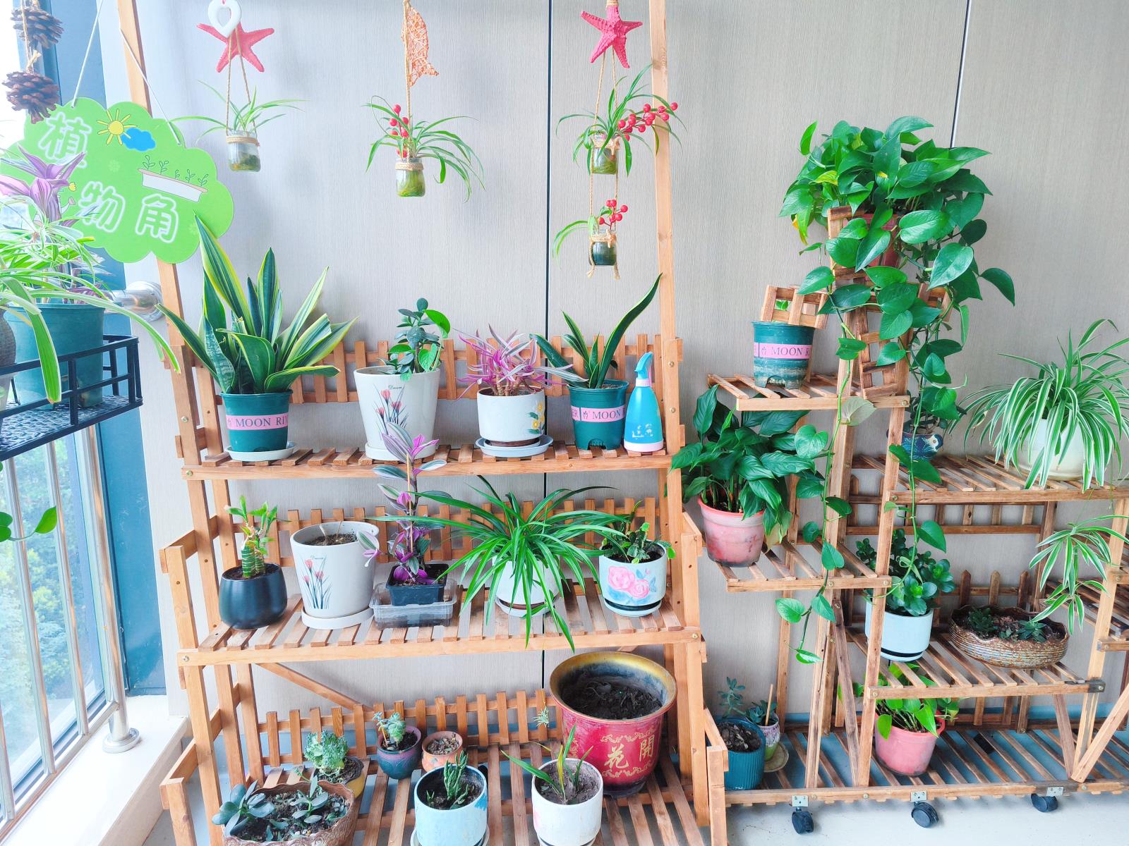 20分钟公园效应，有效减轻压力