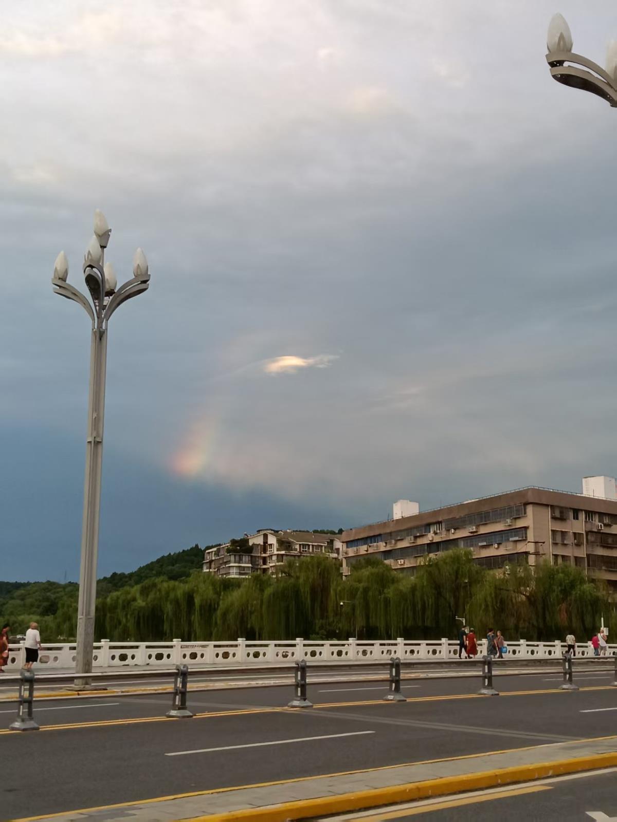 皮肤出现“紫疙瘩”？可能是这3种原因