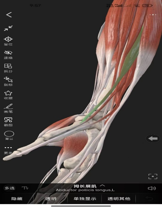 图片1.png 图片1.png