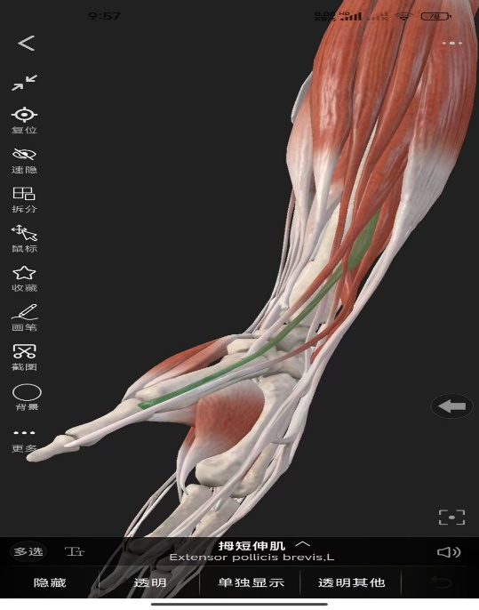 图片2.png 图片2.png