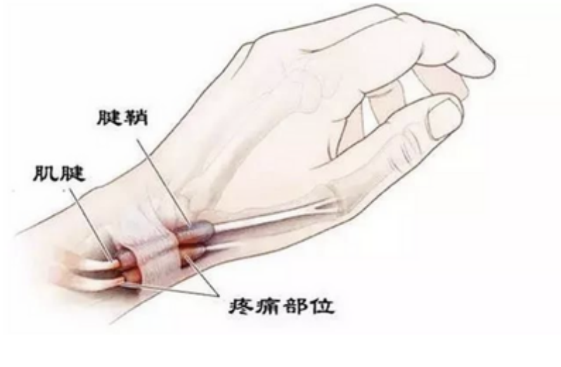 微信图片_20251201193621_11_326.png 微信图片_20251201193621_11_326.png