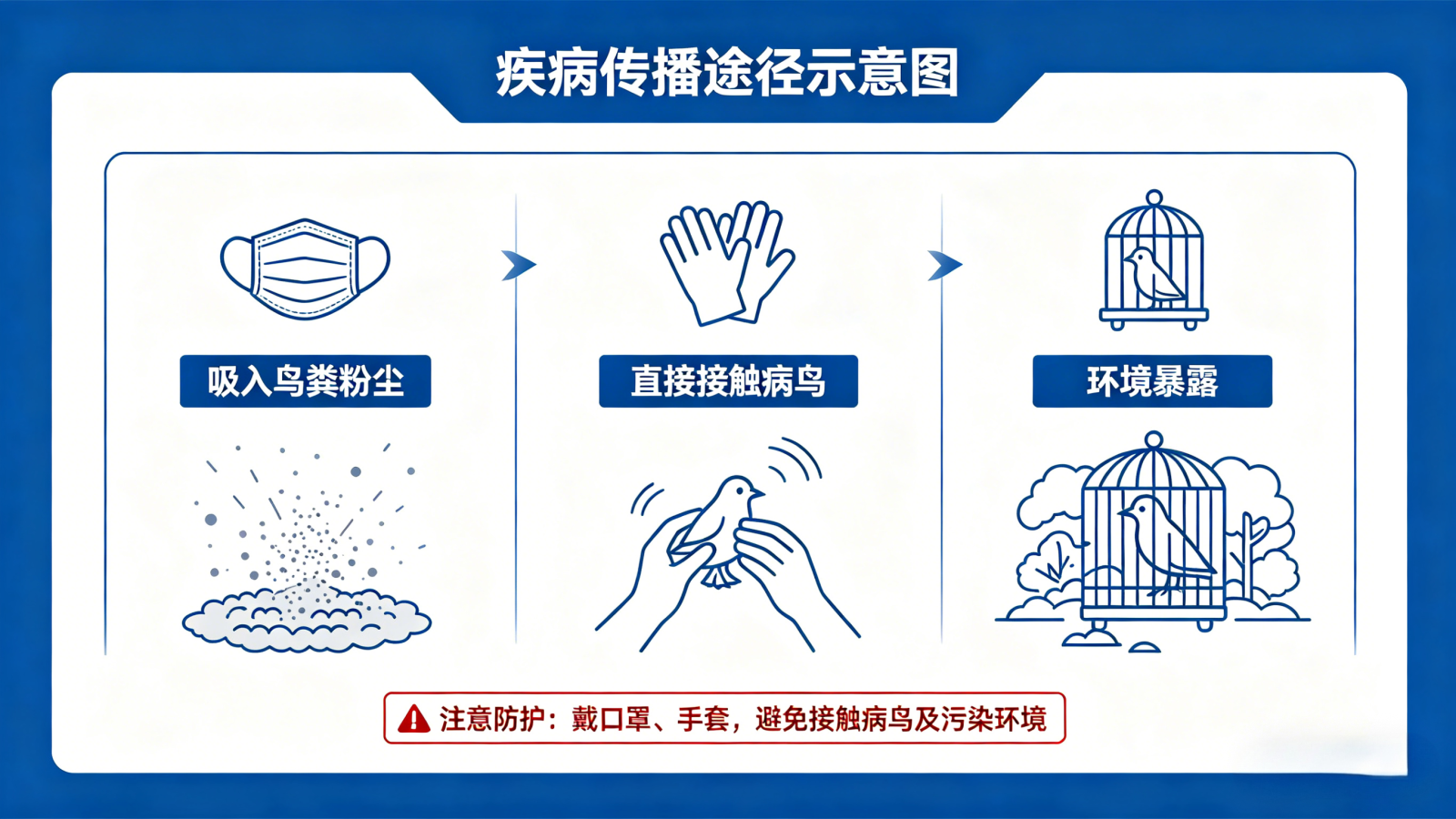 鹦鹉热医学科普海报生成 (1).png